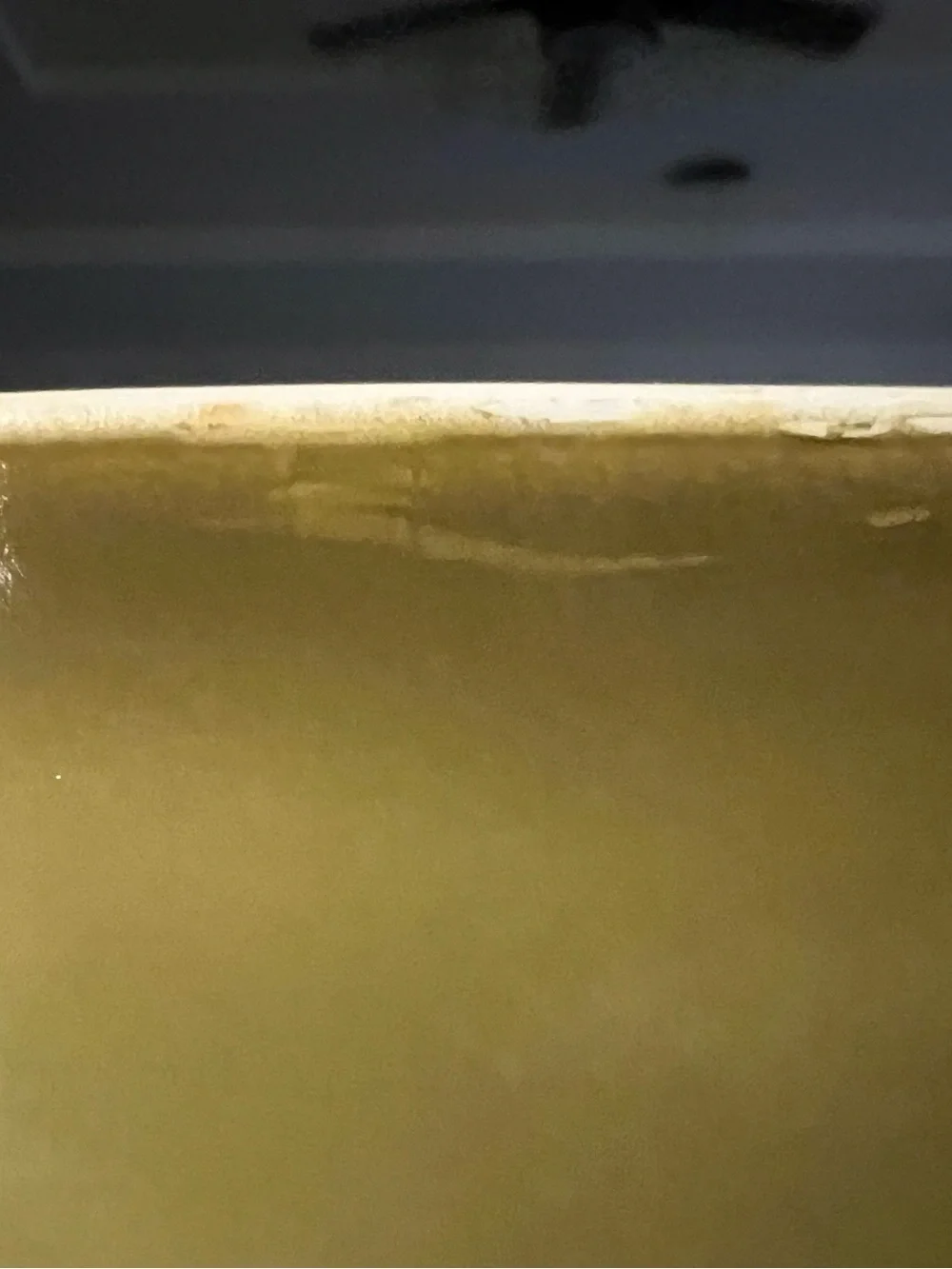 Pyrex Avocado Green 2 1/2 quart with Lid lid has a very small chip!